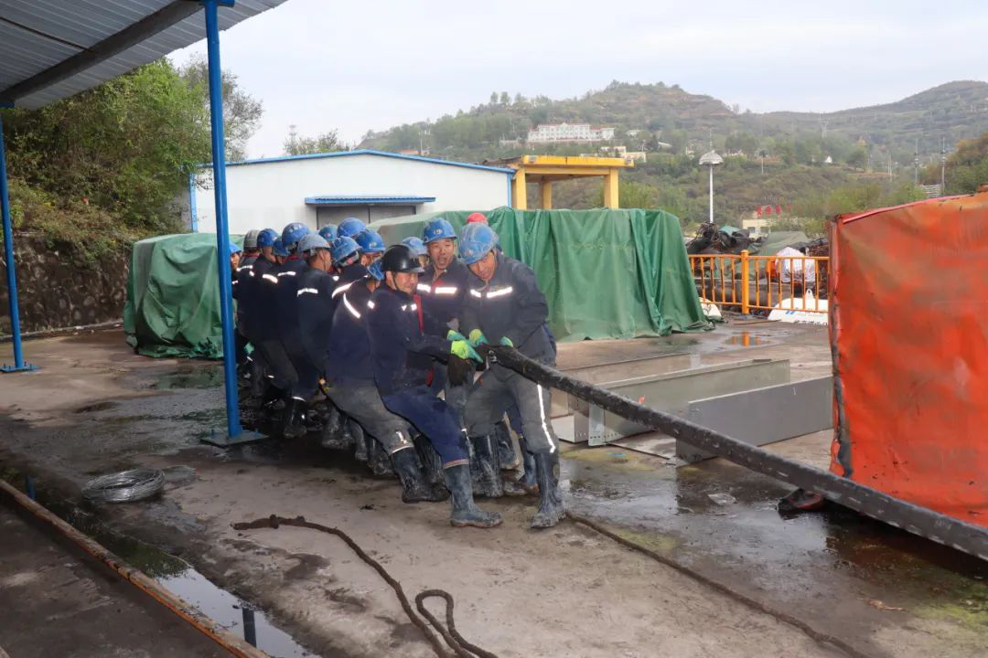 图片13.png 图片13.png