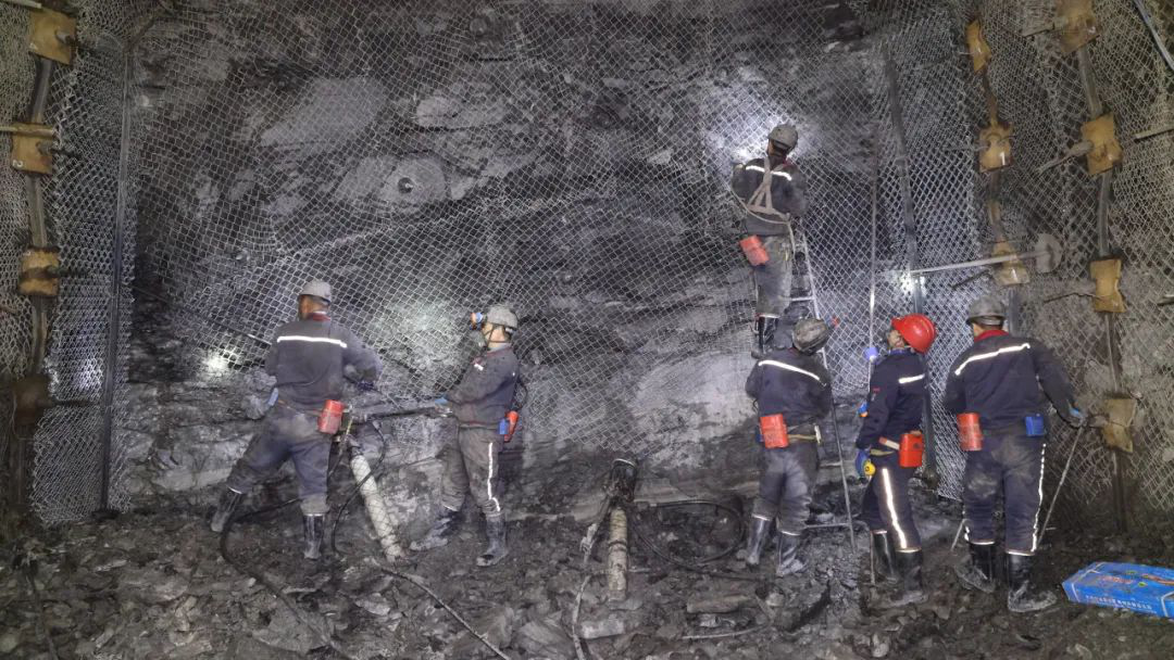 图片8.png 图片8.png