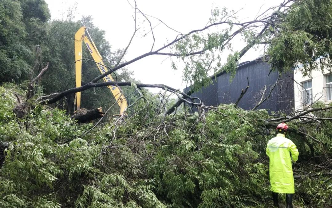 图片11.jpg 图片11.jpg