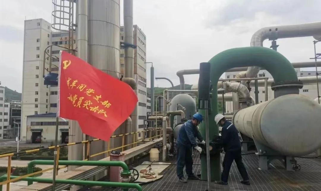 图片11.jpg 图片11.jpg