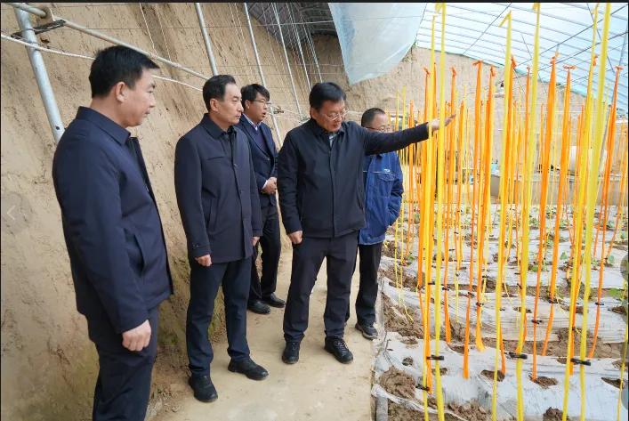 图片1.jpg 图片1.jpg